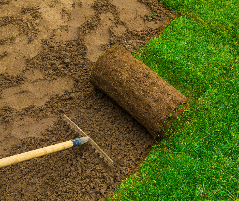 how-to-resod-a-lawn-diy-home-lawn